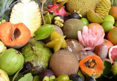 Nikmati Beragam Kuliner di Desa Jambu